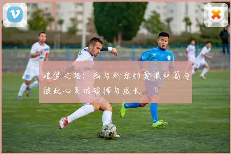 追梦之路：我与科尔的爱恨纠葛与彼此心灵的碰撞与成长