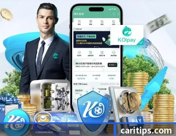 星空体育app官方入口 APP